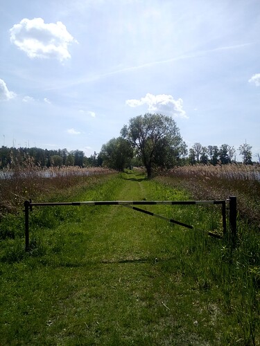 PHOTO-2025-05-02-13-54-15