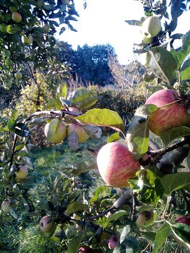 signal-2025-09-29-181047_005