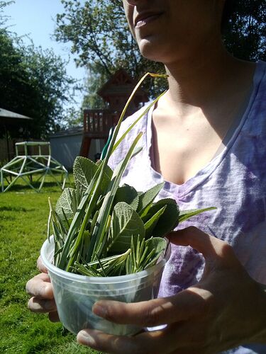 image000000