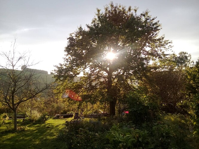 signal-2025-09-29-181047_013