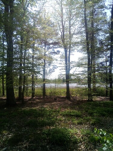 PHOTO-2025-05-02-13-35-58