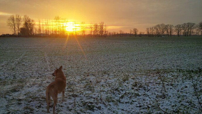 IMG_20250107_151115_hdr