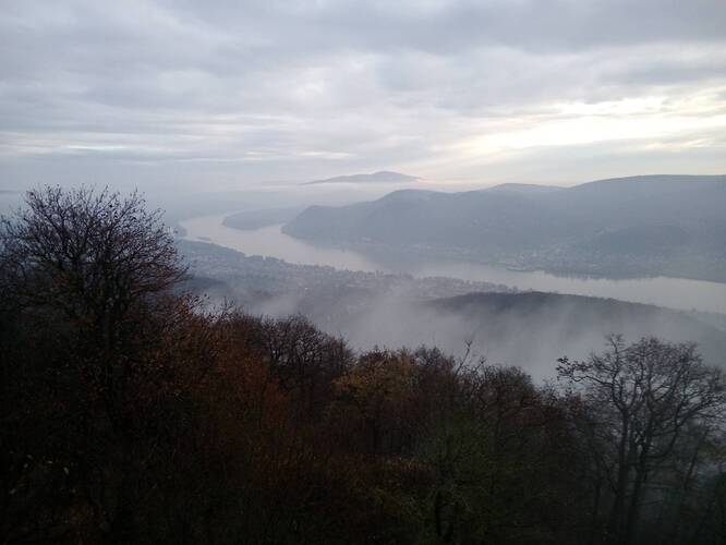 signal-2025-11-10-122348_006