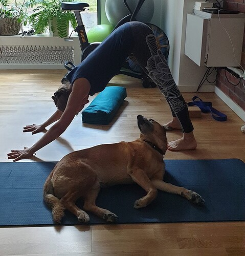 Misiek and Yoga