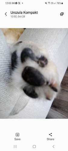 Screenshot_20251028_120308_Messages