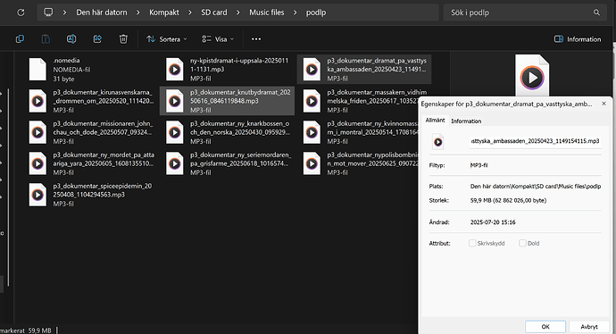 Screenshot 2025-07-21 202445