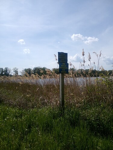 PHOTO-2025-05-02-13-35-57