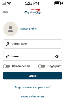04_sign_in_dummy