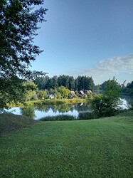 IMG_2