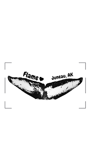 FLAME-6